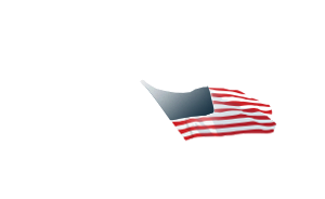 Dilligentiam Strategies - Boston, Massachussets